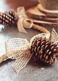 img_craftsinthekitchen_6