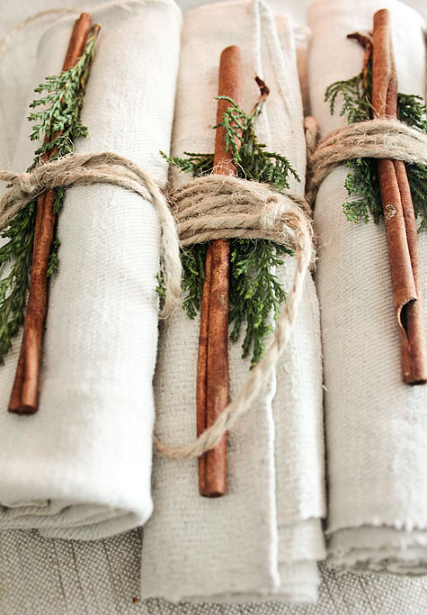 Entertaining cinnamon sticks