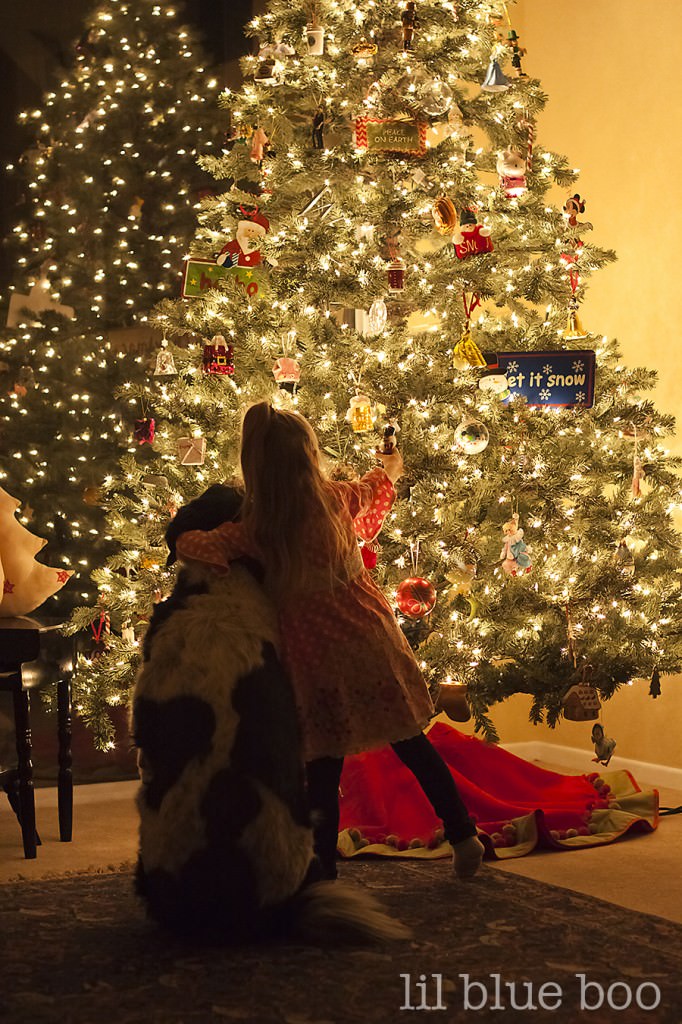 how-to-take-photos-of-your-christmas-tree-at-night-