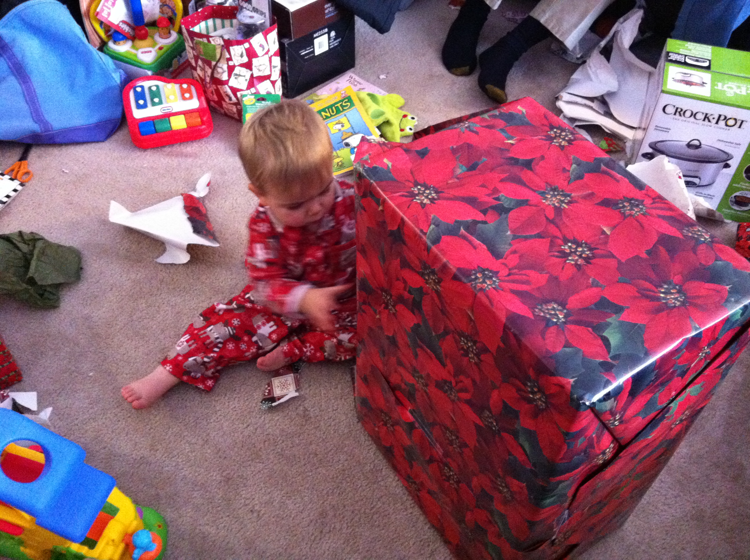 photo(3)