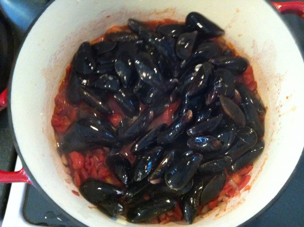 mussels