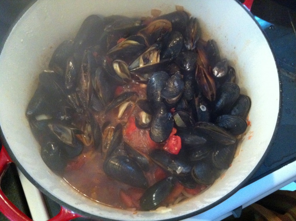 mussels