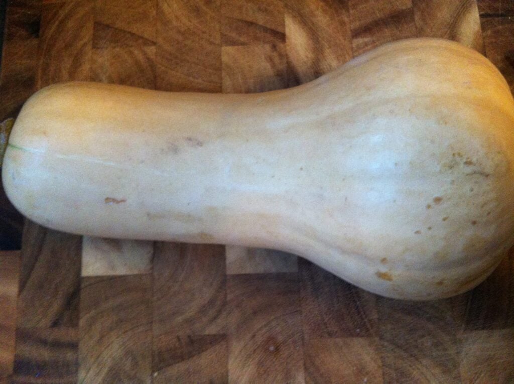 Roasting Butternut Squash -  whole squash pic