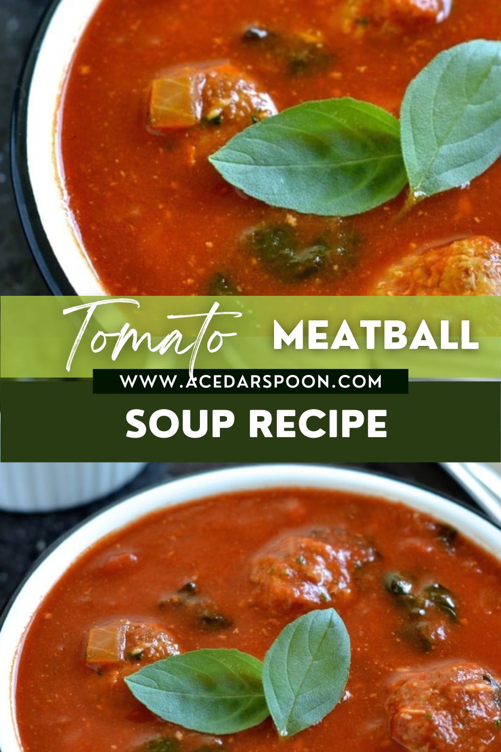 Spinach and Tomato Soup Recipe with logo
