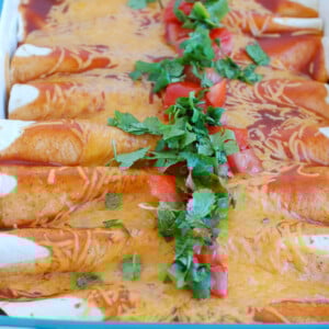 Easy Chicken Enchiladas with tomatoes