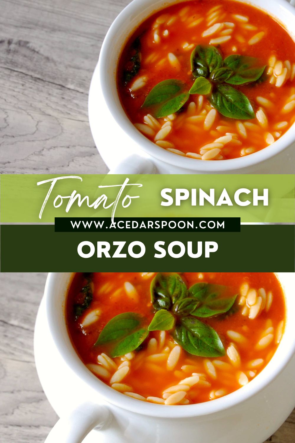 Tomato Spinach Orzo Soup with logo.