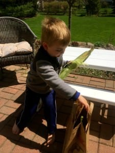 Will Husking Corn1