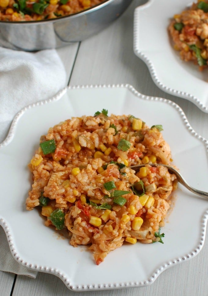 Southwestern Chicken and Rice with fork on plate 