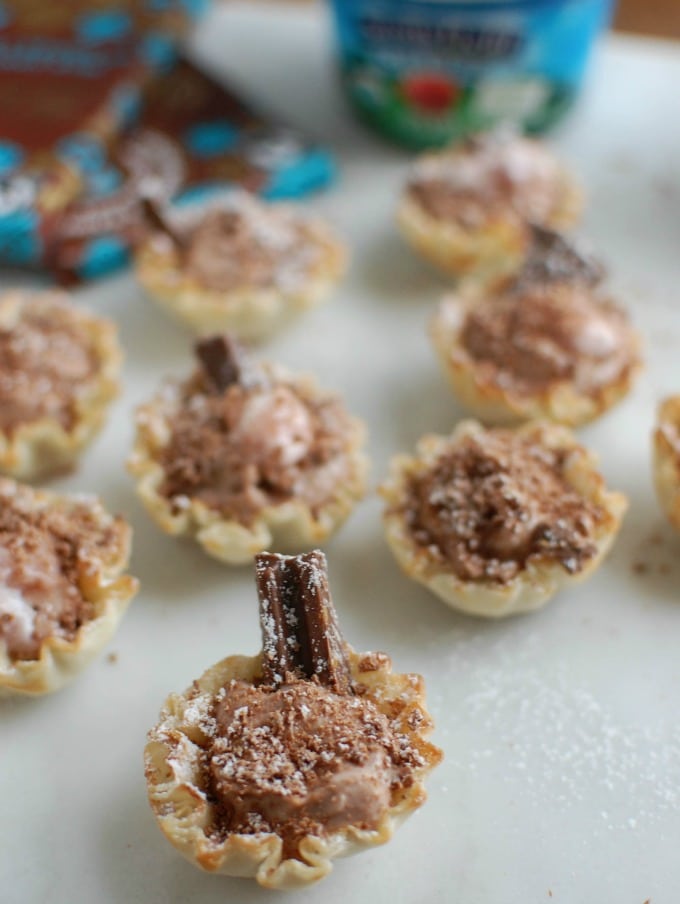 3 Ingredient Chocolate Strawberry Greek Yogurt Bites - chocolate treat