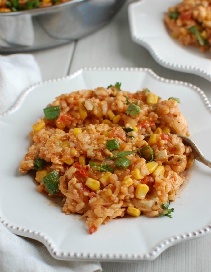 Southwestern Chicken and Rice on plate