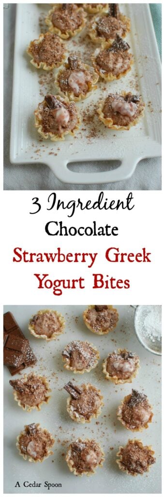 3 Ingredient Chocolate Strawberry Greek Yogurt Bites - Valentine's Day treat