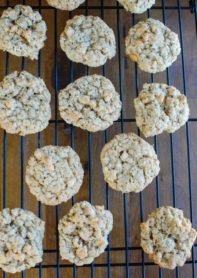 Oatmeal Scotchies - sweet tooth
