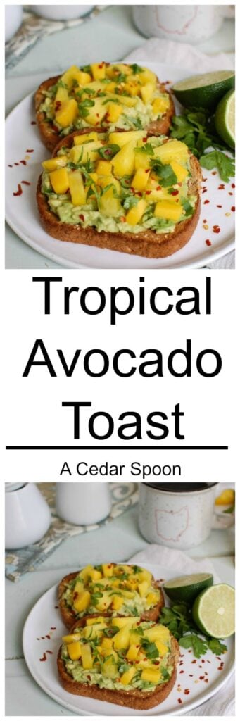 Tropical Avocado Toast - a healthy start to your day