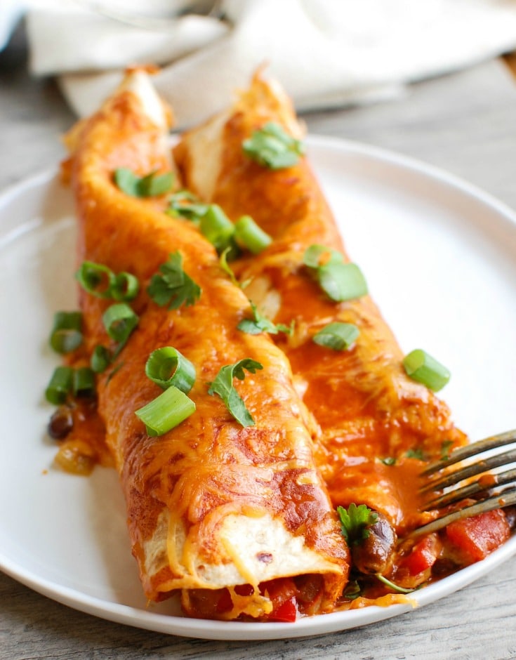 Enchiladas topped with red sauce and chopped green onions.