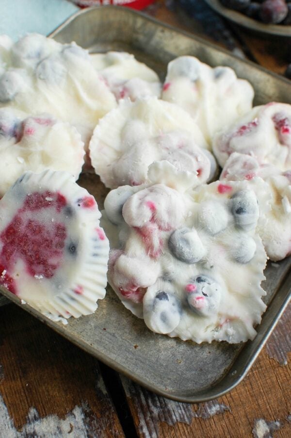 Frozen Greek Yogurt Fruit Bites are a fun treat for adults and kids, especially in the warmer months. Greek Yogurt is mixed with fresh fruit and honey and frozen into a bite sized snack that is packed with protein!