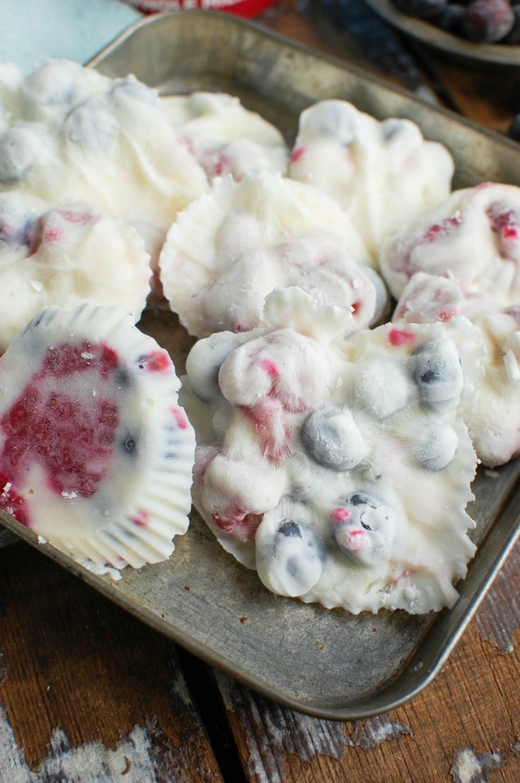 Frozen Greek Yogurt Fruit Bites are a fun treat for adults and kids, especially in the warmer months. Greek Yogurt is mixed with fresh fruit and honey and frozen into a bite sized snack that is packed with protein!