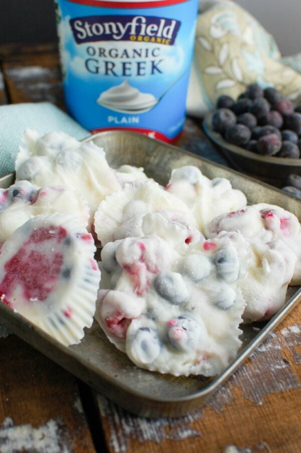 Frozen Greek Yogurt Fruit Bites are a fun treat for adults and kids, especially in the warmer months. Greek Yogurt is mixed with fresh fruit and honey and frozen into a bite sized snack that is packed with protein! 