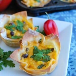 Southwestern Hummus Baked Wonton Cups are a fun finger food mixing spicy hummus, black beans, corn and cheese and baked into a wonton cup until crispy and warm. These are packed with flavor and work great as a snack or party food!