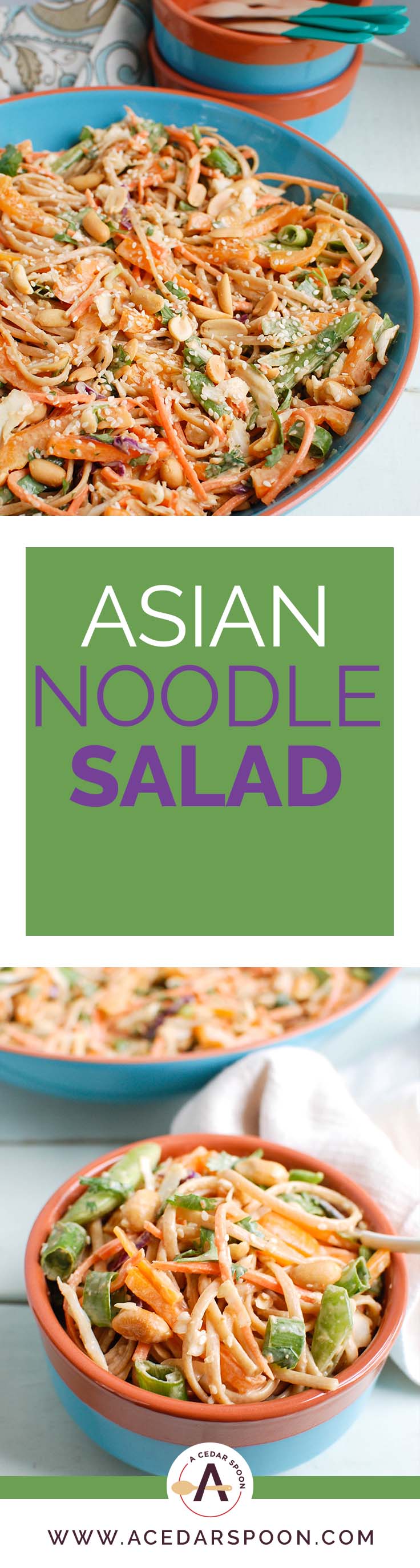 Asian Vegetable Noodle Salad with Spicy Peanut Sauce is a vegetable packed pasta salad that is the perfect summer dish. This salad has a little kick to it and is very customizable to your guests tastes! 