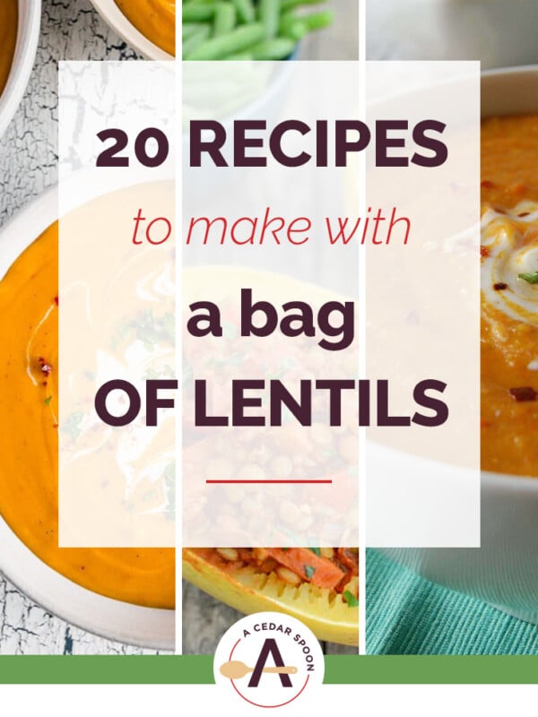 Try one of these 20 Recipes to Make with a Bag of Lentils. Perfect for meal time!