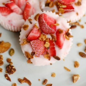 Frozen Yogurt Granola Bites 1200 x 1200