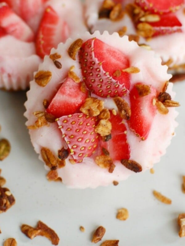 Frozen Yogurt Granola Bites 1200 x 1200