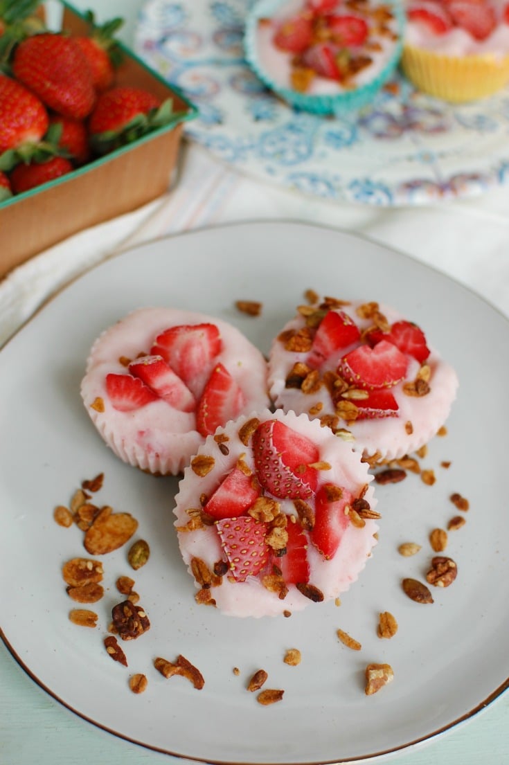 Frozen Yogurt Granola Bites Image 4 A Cedar Spoon