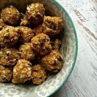 Peanut Butter Coconut Oatmeal Bites