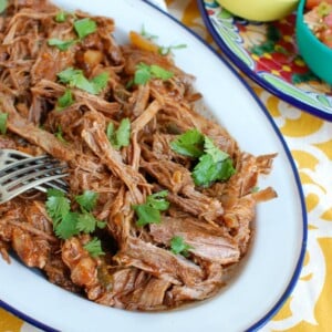 Slow Cooker Mexican Beef Brisket on plate