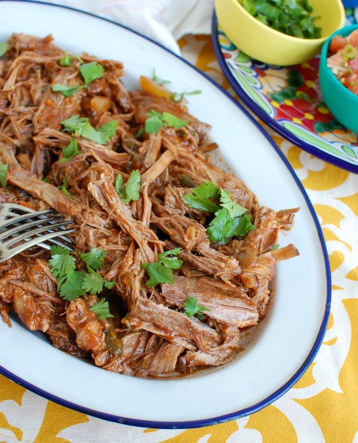 Slow Cooker Mexican Beef Brisket on plate