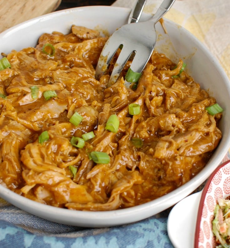 How to Make Pork Tenderloin in the Slow Cooker Shredded Pork
