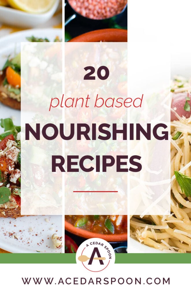 20 Plant Based Vegetarian Recipes