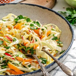 Healthy Coleslaw 1200 x 1200