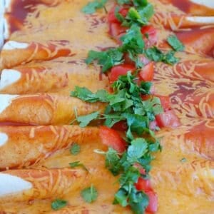 Easy Chicken Enchiladas 1200 x 1200