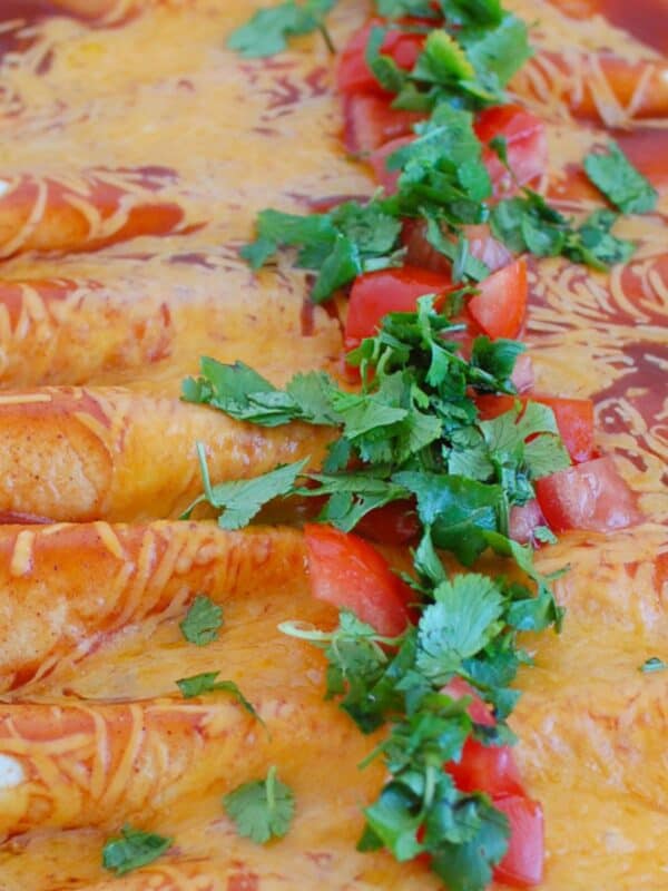 Easy Chicken Enchiladas 1200 x 1200
