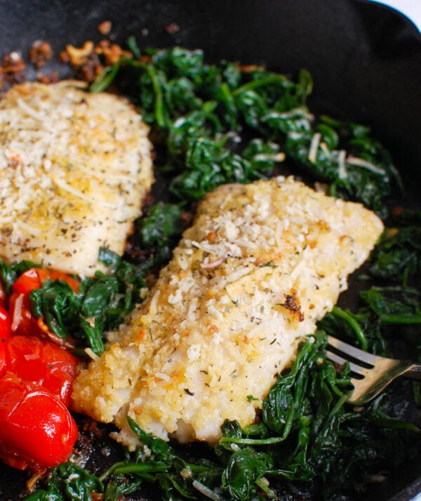 Black Sea Bass Recipe with tomatoes