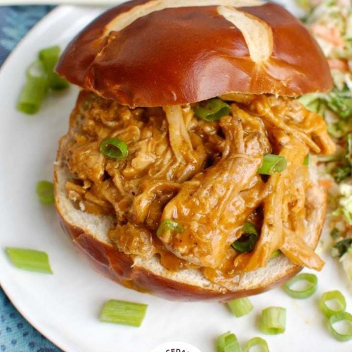 How to Cook Pork Loin in the Crockpot Logo 2