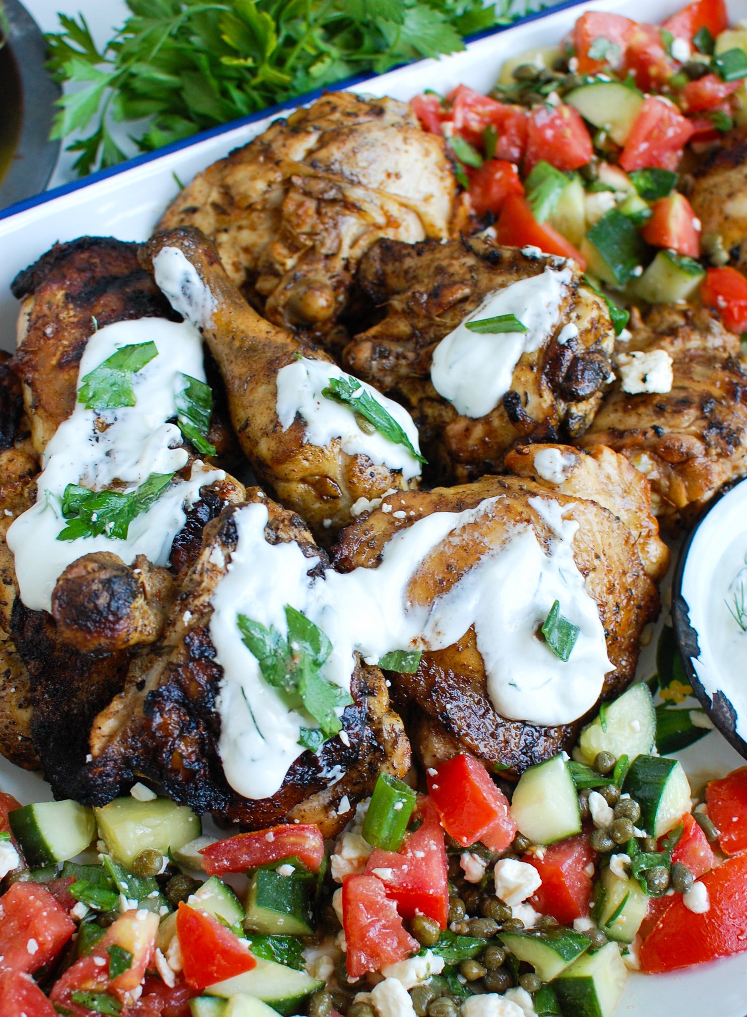 Greek Marinated Chicken with Tzatziki Sauce with yogurt on chicken