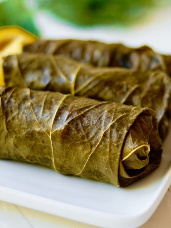 Stuffed Grape Leaves 1200 x 1200