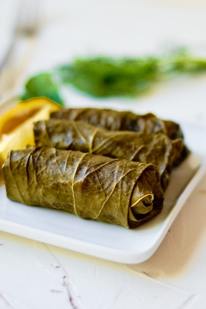 Stuffed Grape Leaves on white plate