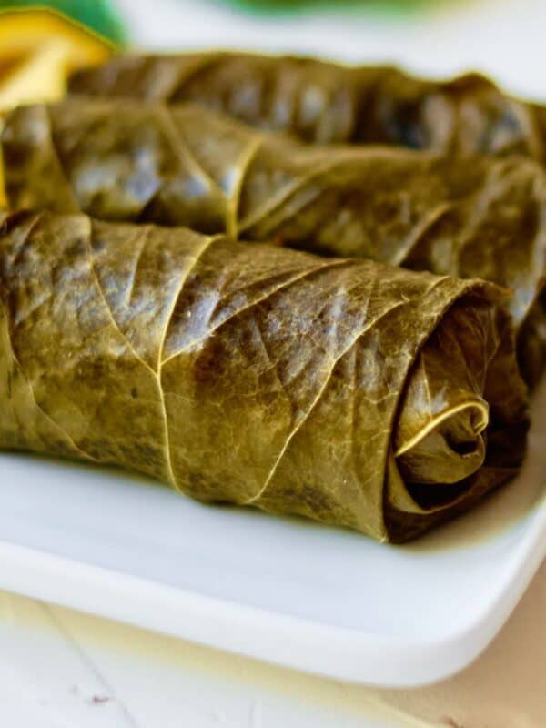 stuffed grape leaves 1200 x 1200