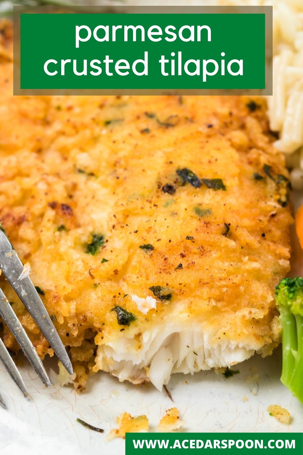Parmesan Crusted Tilapia with fork 