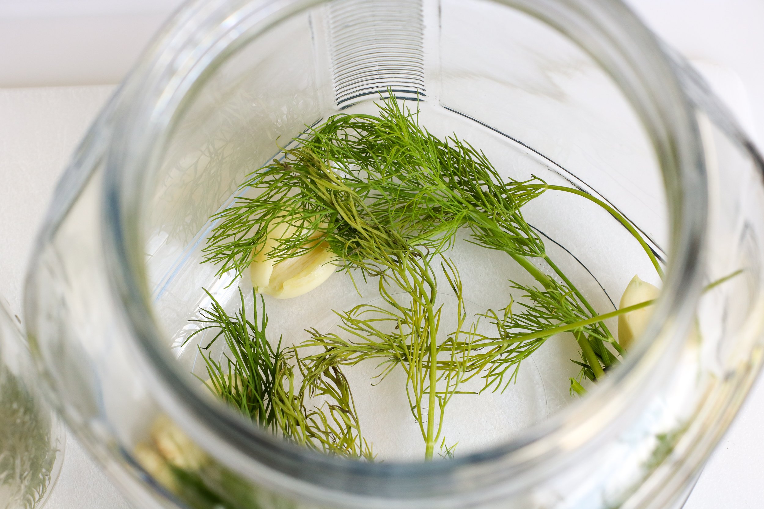 Refrigerator Dill Pickles dill in jar. 