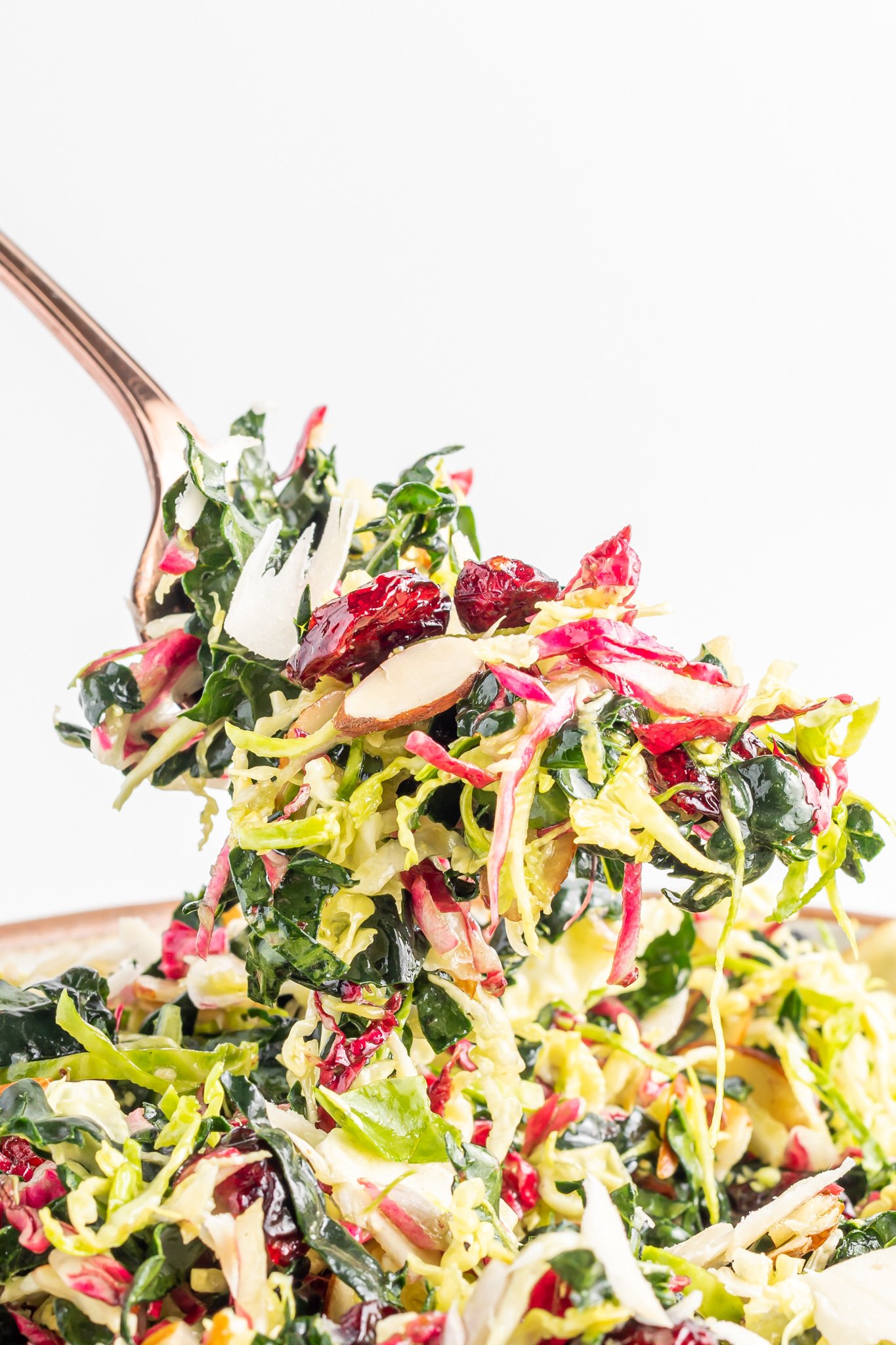 Winter Coleslaw Salad with a fork.