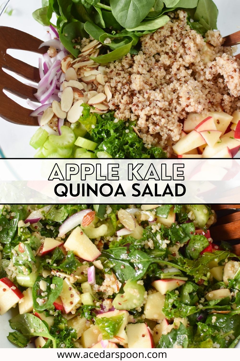 Apple Kale Quinoa Salad with logo.