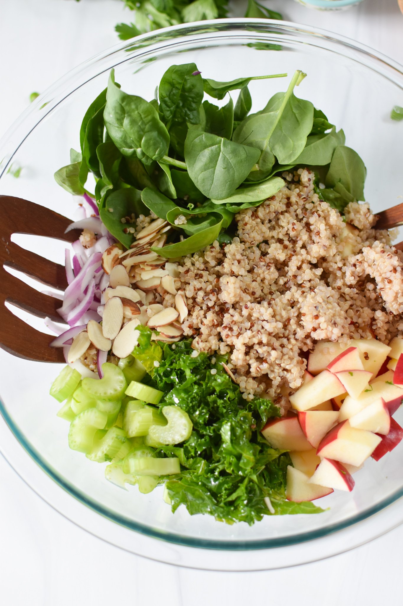 Apple Kale Quinoa Salad ingredients in a bowl. 