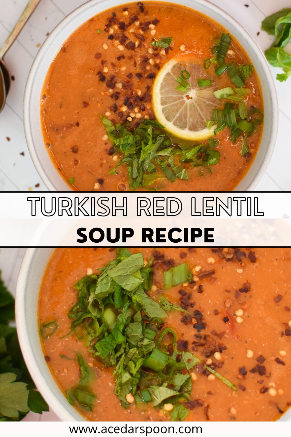 Turkish Red Lentil Soup with logo. 