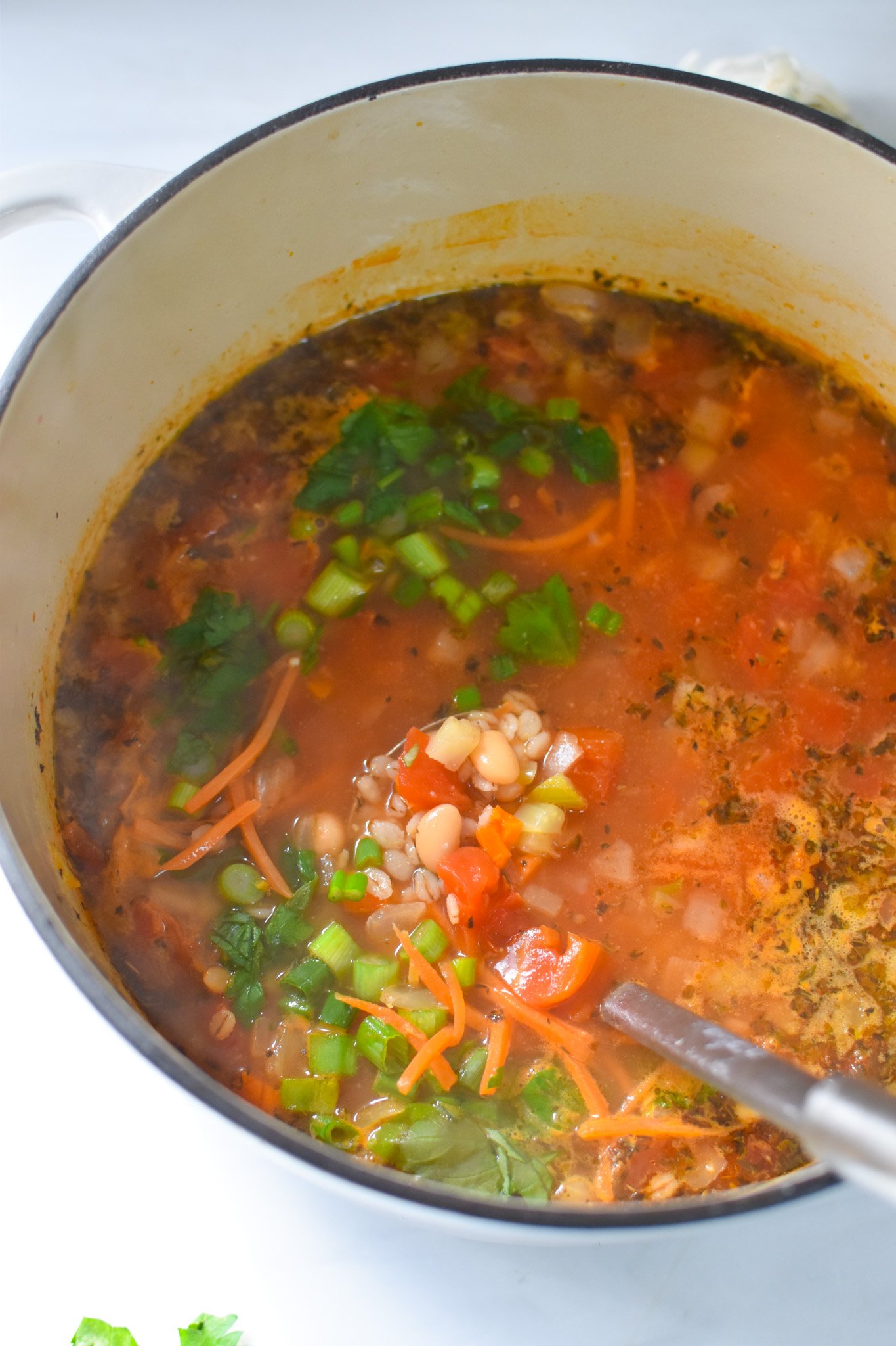 Vegetable Barley Soup in a big pot.