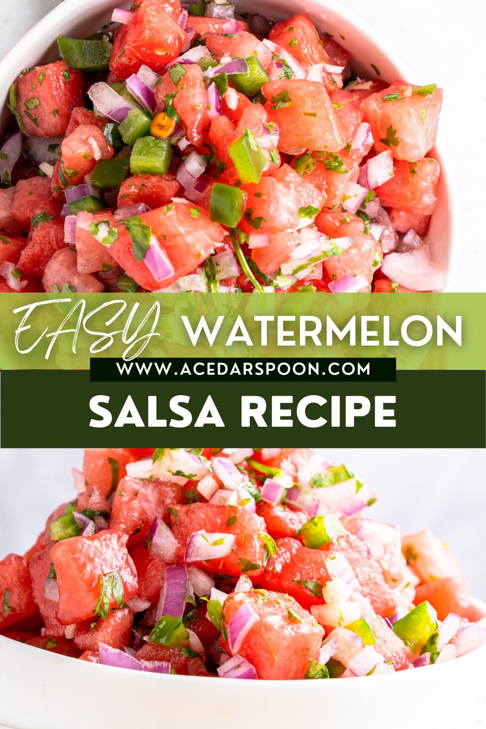 Easy Watermelon Salsa with logo.