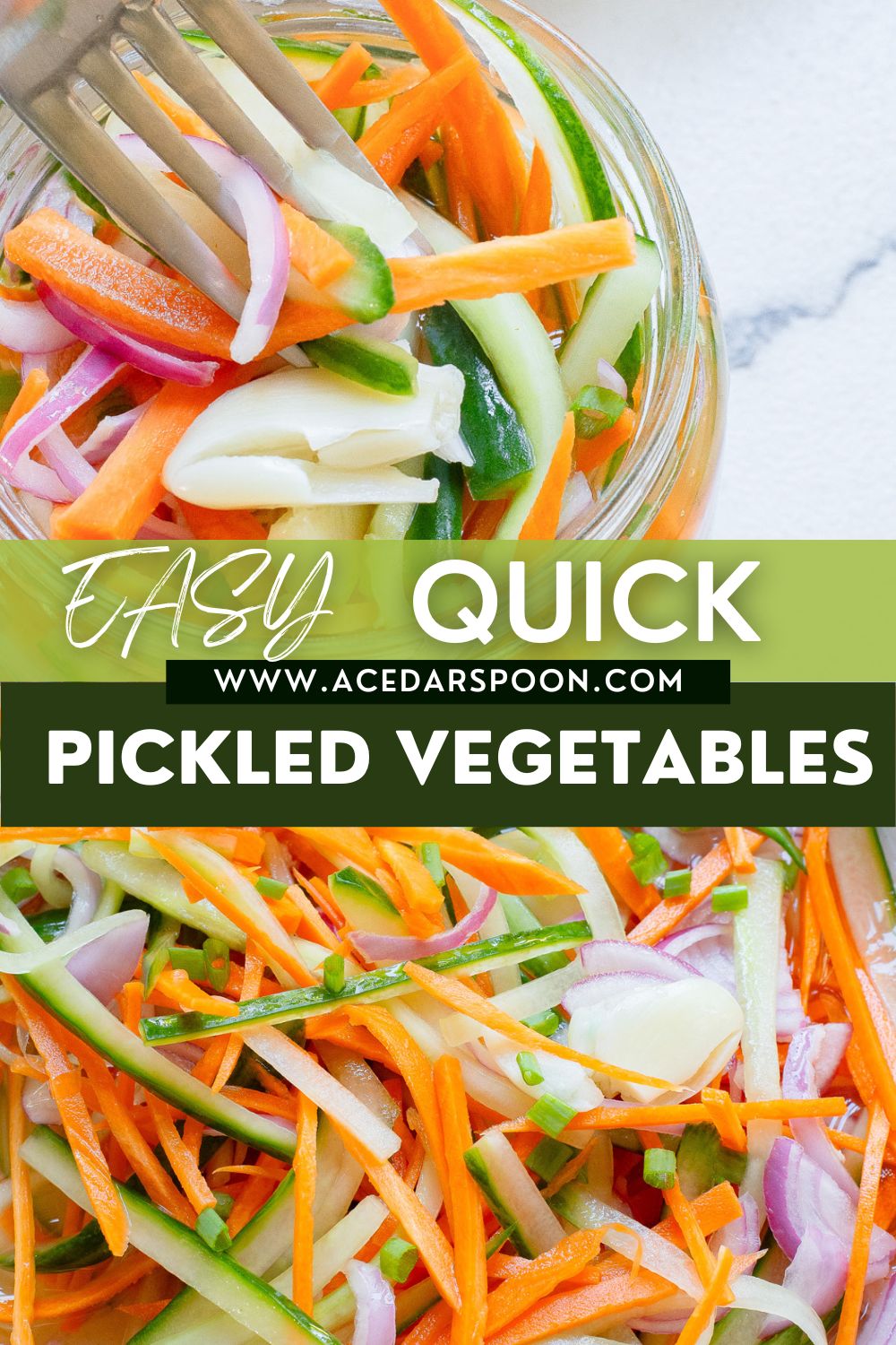 Quick Pickled Vegetables with logo